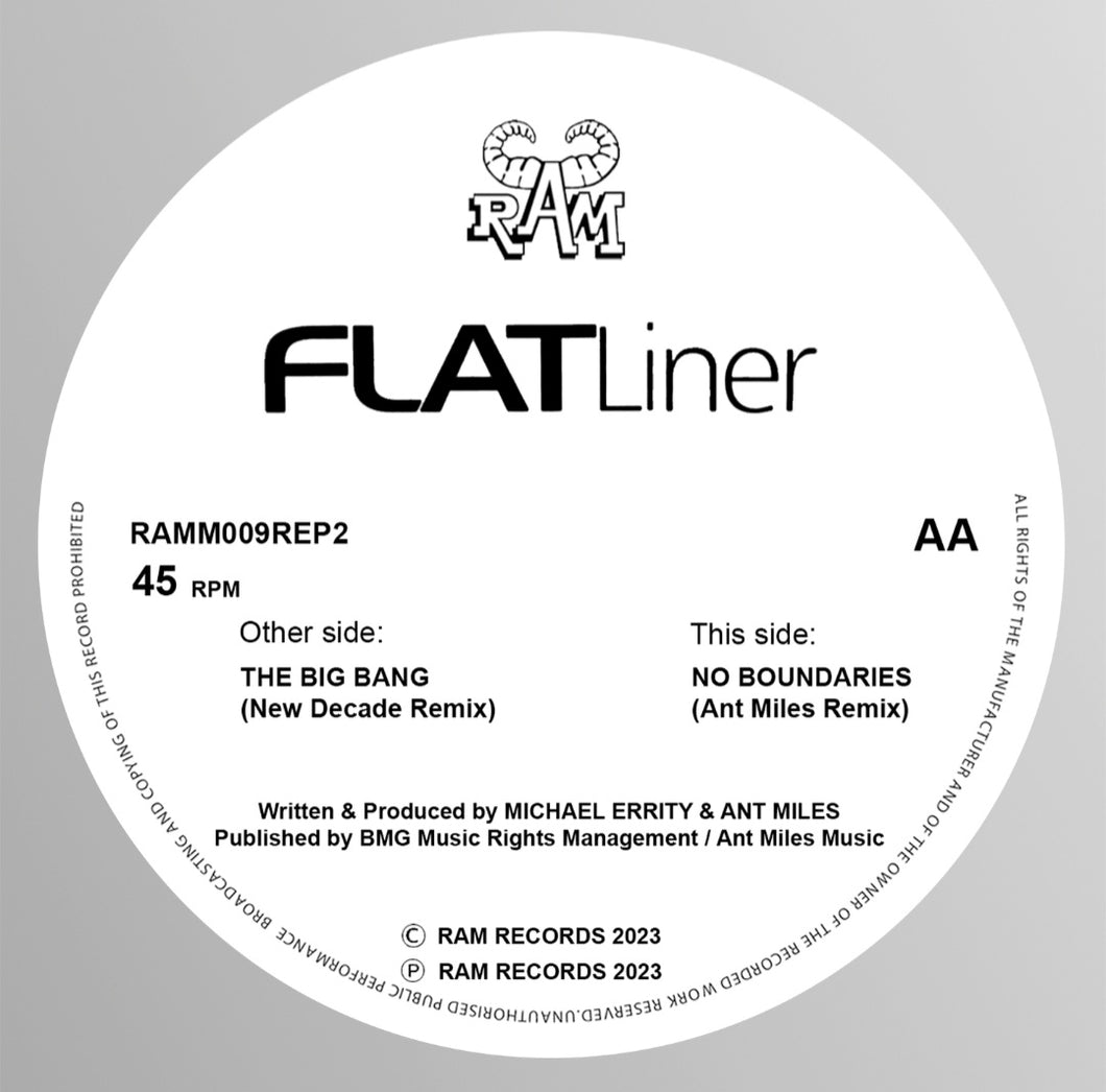 Flatliner - The Big Bang (New Decade Remix) / No Boundaries (Ant Miles Remix)